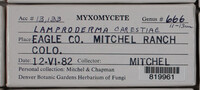 Image Associated With the Occurence